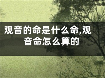 观音的命是什么命,观音命怎么算的