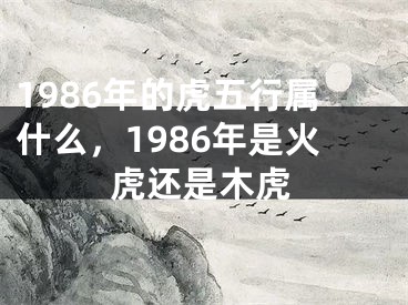 1986年的虎五行属什么，1986年是火虎还是木虎