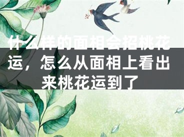 什么样的面相会招桃花运，怎么从面相上看出来桃花运到了