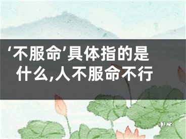 ‘不服命’具体指的是什么,人不服命不行