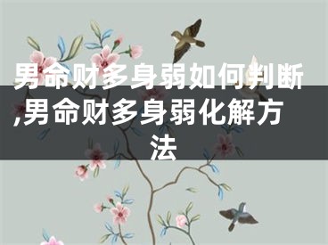 男命财多身弱如何判断,男命财多身弱化解方法