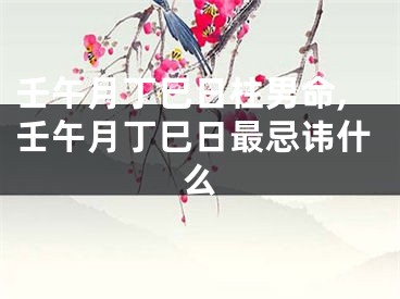 壬午月丁巳日柱男命,壬午月丁巳日最忌讳什么