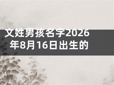 文姓男孩名字2026年8月16日出生的