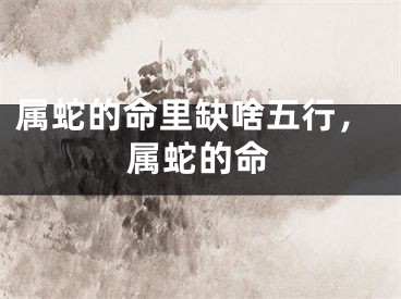 属蛇的命里缺啥五行，属蛇的命