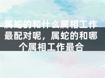 属蛇的和什么属相工作最配对呢，属蛇的和哪个属相工作最合