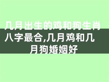 几月出生的鸡和狗生肖八字最合,几月鸡和几月狗婚姻好