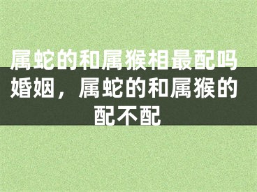 属蛇的和属猴相最配吗婚姻，属蛇的和属猴的配不配