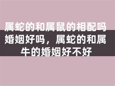 属蛇的和属鼠的相配吗婚姻好吗，属蛇的和属牛的婚姻好不好