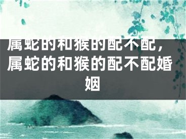 属蛇的和猴的配不配，属蛇的和猴的配不配婚姻