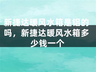 新捷达暖风水箱是铝的吗,新捷达暖风水箱多少钱一个
