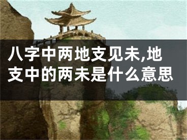 八字中两地支见未,地支中的两未是什么意思