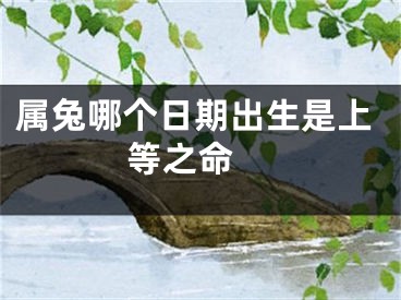 属兔哪个日期出生是上等之命