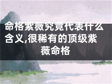 命格紫薇究竟代表什么含义,很稀有的顶级紫薇命格