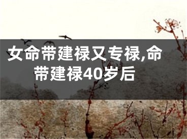 女命带建禄又专禄,命带建禄40岁后