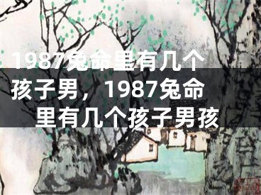 1987兔命里有几个孩子男,1987兔命里有几个孩子男孩
