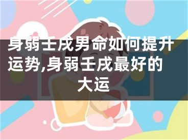 身弱壬戌男命如何提升运势,身弱壬戌最好的大运