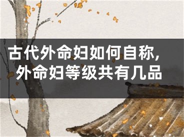 古代外命妇如何自称,外命妇等级共有几品