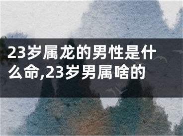 23岁属龙的男性是什么命,23岁男属啥的