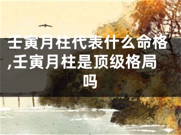 壬寅月柱代表什么命格,壬寅月柱是顶级格局吗