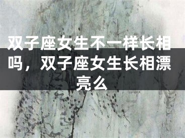 双子座女生不一样长相吗，双子座女生长相漂亮么