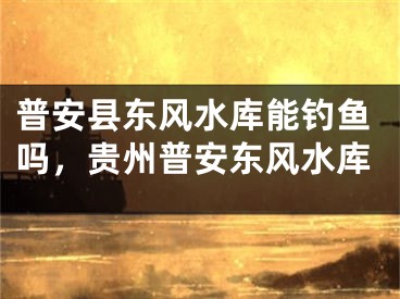 普安县东风水库能钓鱼吗，贵州普安东风水库