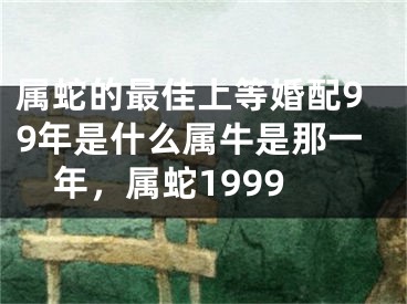 属蛇的最佳上等婚配99年是什么属牛是那一年,属蛇1999