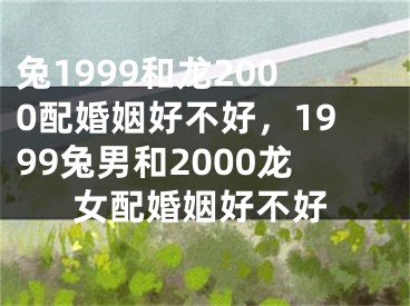兔1999和龙2000配婚姻好不好，1999兔男和2000龙女配婚姻好不好