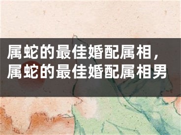 属蛇的最佳婚配属相，属蛇的最佳婚配属相男