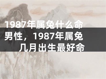 1987年属兔什么命男性，1987年属兔几月出生最好命