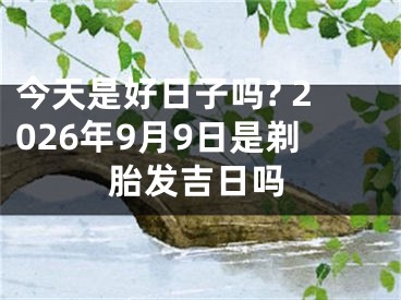 今天是好日子吗? 2026年9月9日是剃胎发吉日吗