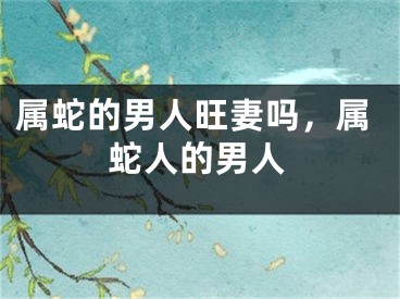 属蛇的男人旺妻吗,属蛇人的男人