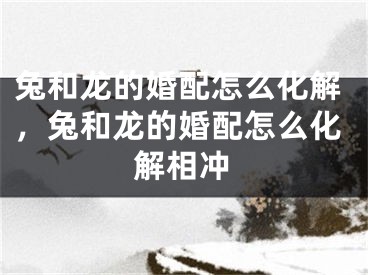 兔和龙的婚配怎么化解，兔和龙的婚配怎么化解相冲