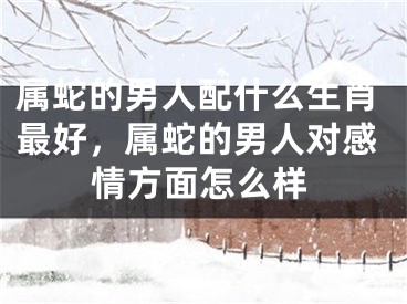 属蛇的男人配什么生肖最好，属蛇的男人对感情方面怎么样
