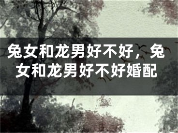 兔女和龙男好不好，兔女和龙男好不好婚配
