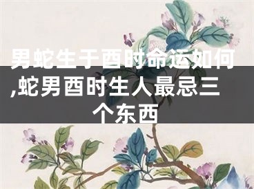 男蛇生于酉时命运如何,蛇男酉时生人最忌三个东西