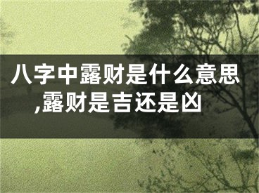 八字中露财是什么意思,露财是吉还是凶