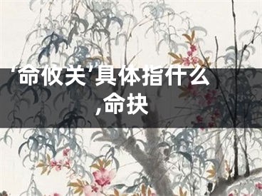 ‘命攸关’具体指什么,命抉