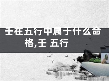 壬在五行中属于什么命格,壬 五行