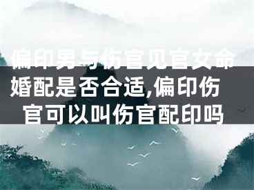 偏印男与伤官见官女命婚配是否合适,偏印伤官可以叫伤官配印吗