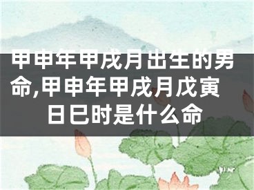 甲申年甲戌月出生的男命,甲申年甲戌月戊寅日巳时是什么命