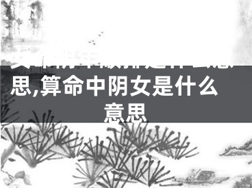 女命阴年顺排是什么意思,算命中阴女是什么意思