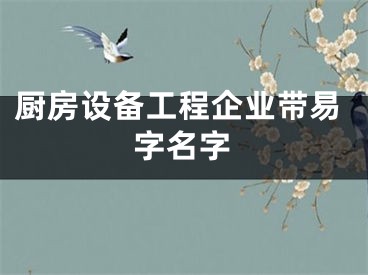 厨房设备工程企业带易字名字