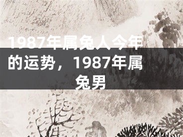 1987年属兔人今年的运势，1987年属兔男