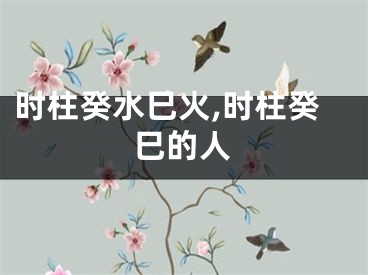 时柱癸水巳火,时柱癸巳的人