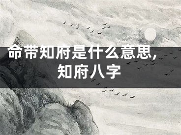 命带知府是什么意思,知府八字
