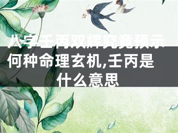 八字壬丙双辉究竟预示何种命理玄机,壬丙是什么意思