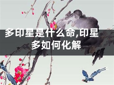 多印星是什么命,印星多如何化解