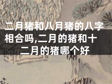 二月猪和八月猪的八字相合吗,二月的猪和十二月的猪哪个好