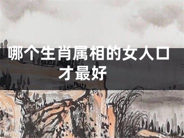 哪个生肖属相的女人口才最好 