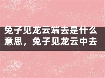 兔子见龙云端去是什么意思，兔子见龙云中去